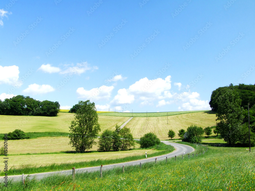grüne Landschaft mit Straße grüne Landschaft mit Straße