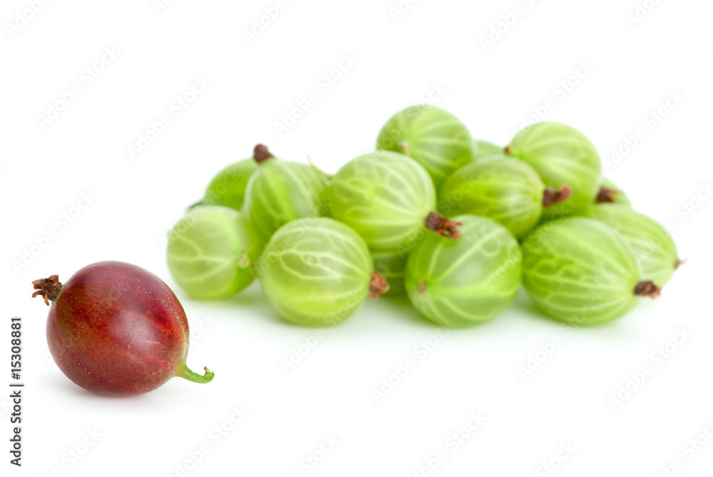 Pile of green gooseberries and one red alone Pile of green gooseberries and one red alone