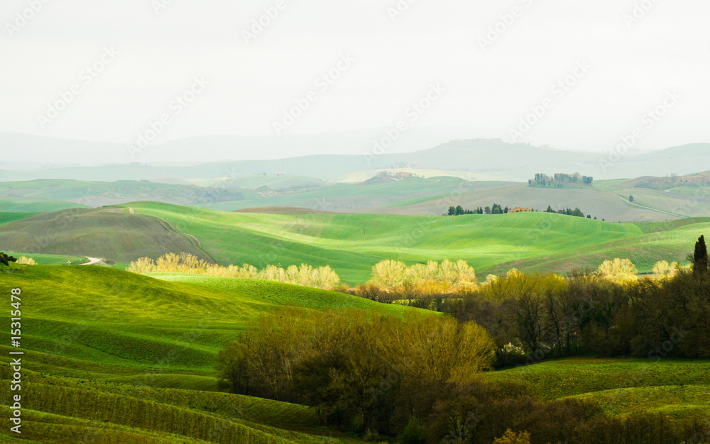 Tuscany hillside
