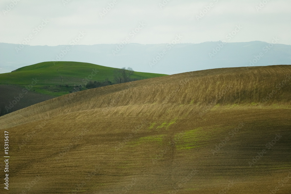 Tuscany fields