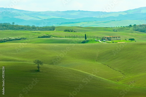 Tuscany farm in spring