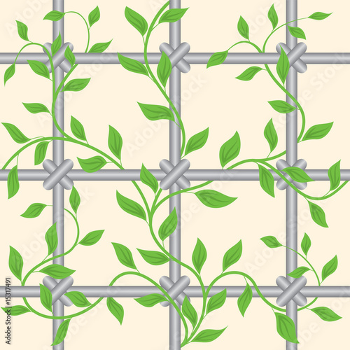 Lattice