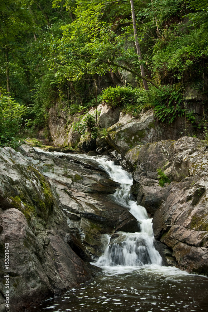 petit cours d'eau 2