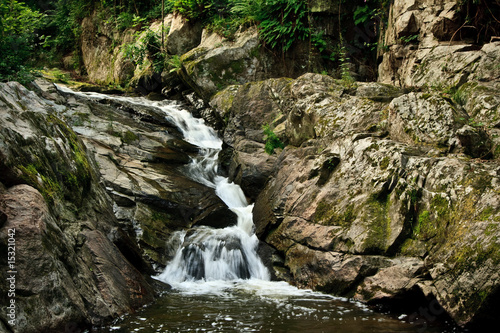 petit cours d'eau 1
