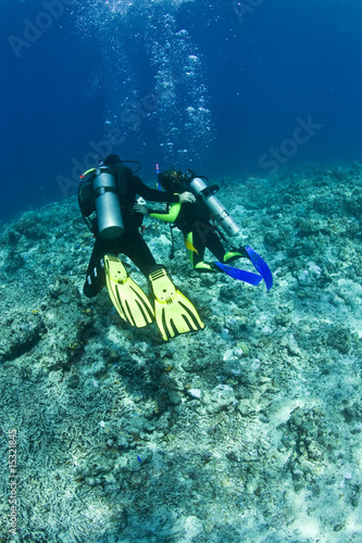 Wallpaper Mural Taucher, Ausbildung Torontodigital.ca