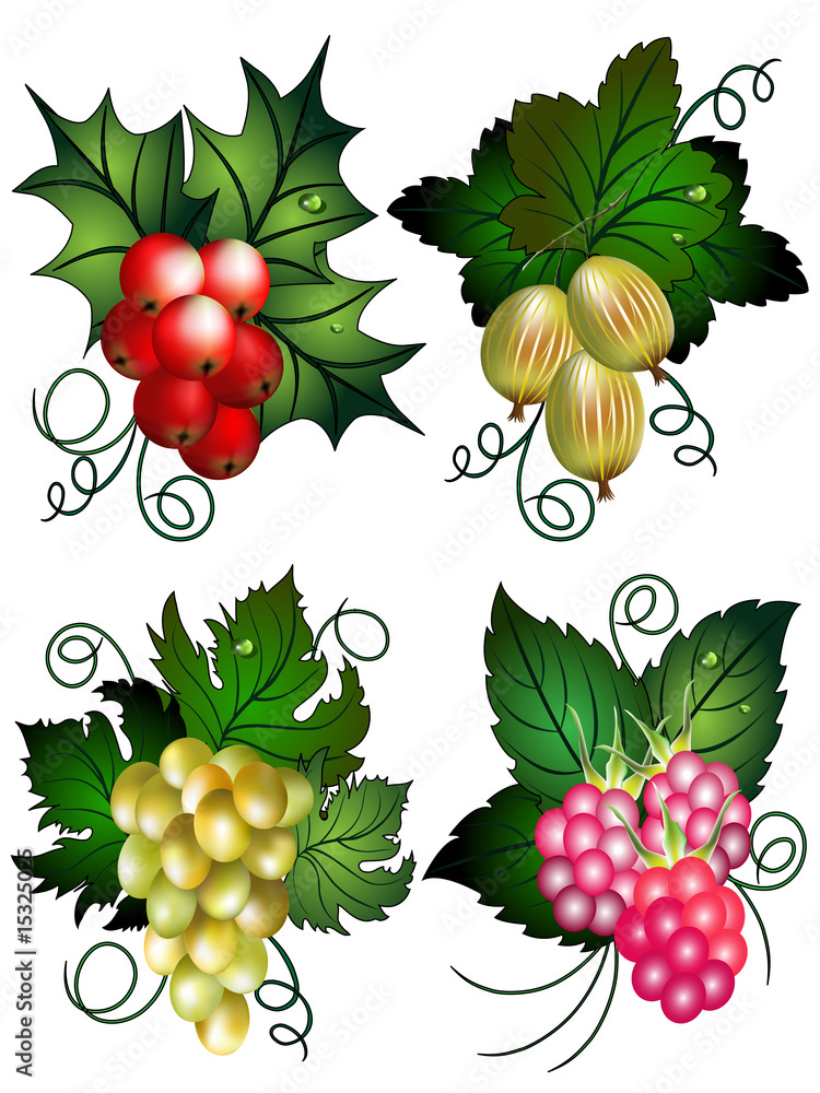 Set of berries
