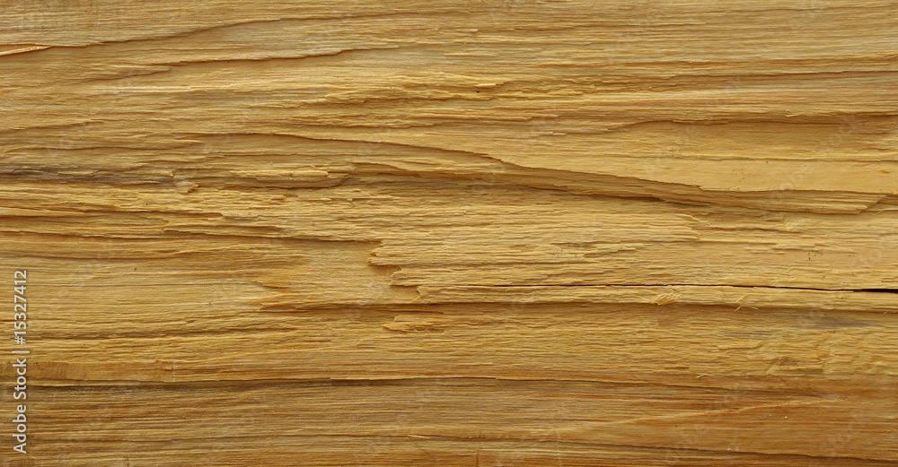 Fototapeta premium wood texture detail