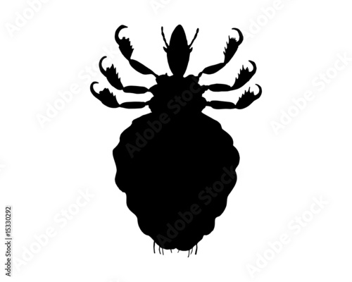 Schwarze Silhouette einer Laus