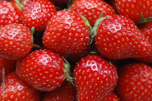 Fraises - Strawberries