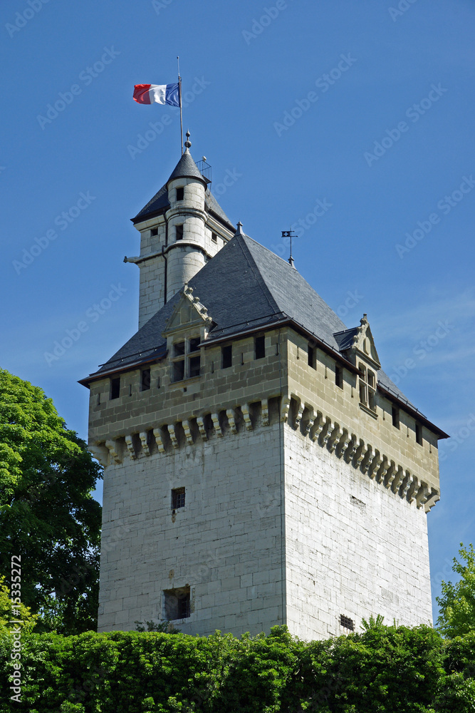 château des Ducs de Savoie