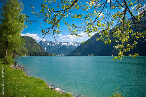 Alpenblick am Achensee in Tirol im Sommer