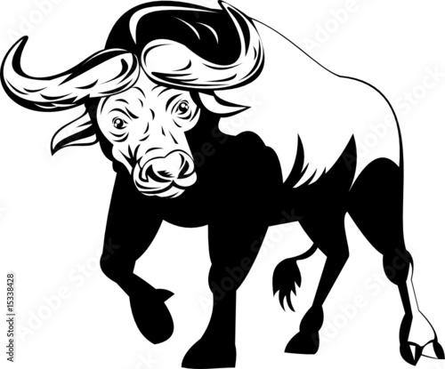 Attacking African Buffalo