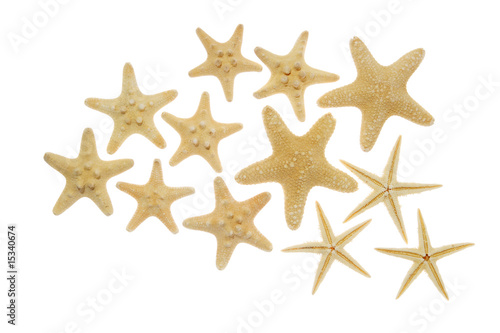 Starfish on a white background. (isolated)