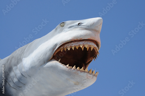 Model of a dangerous shark with open mouth