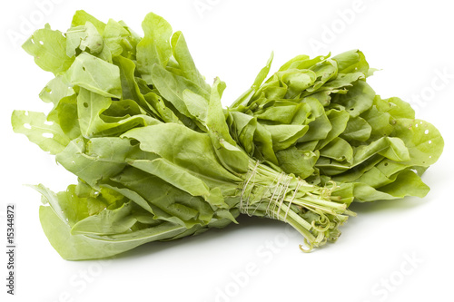 sorrel