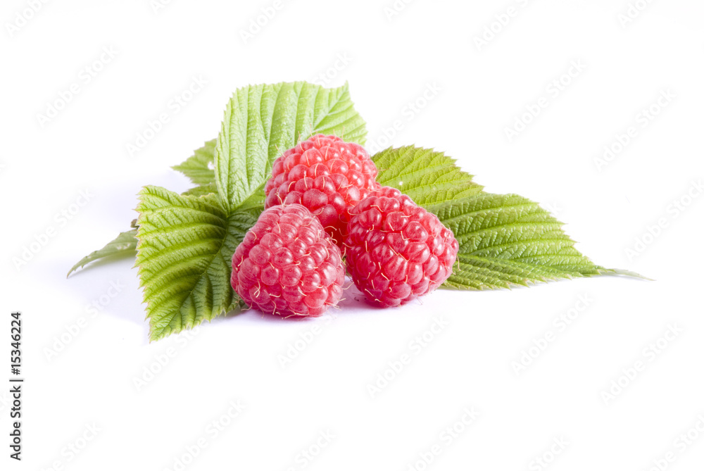 framboises framboises