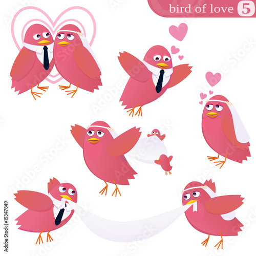 Oiseau de l'amour 5 (détouré)