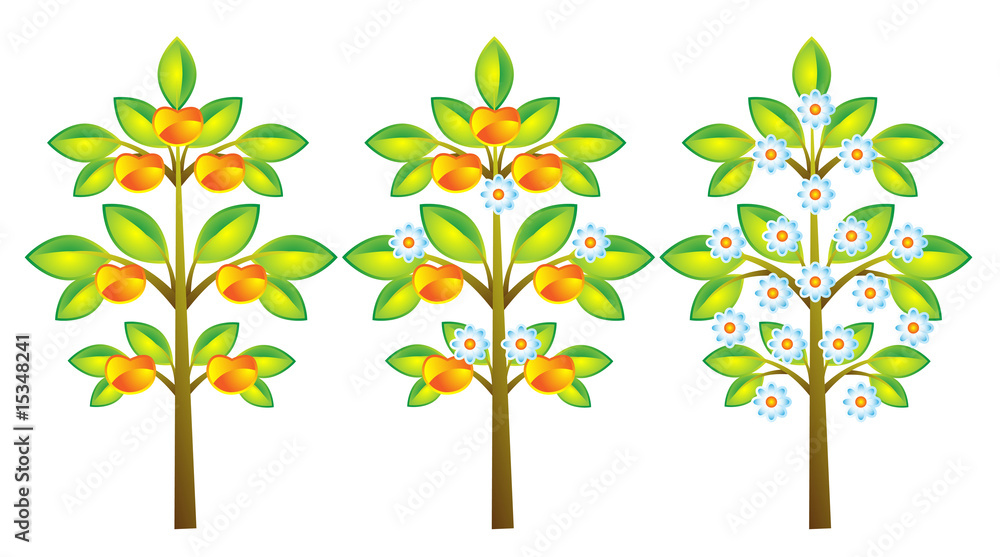 Fototapeta premium summer tree