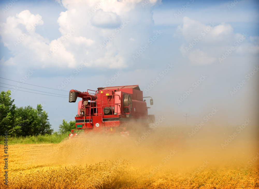 Combine working on a wheat field Combine working on a wheat field