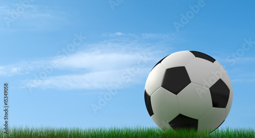 classic soccer-ball on grass