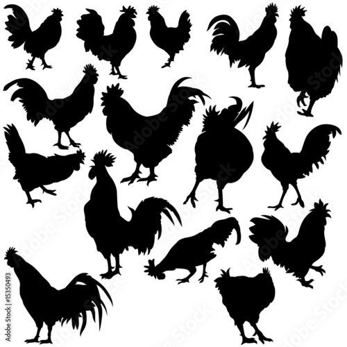 Rooster Silhouettes - black...