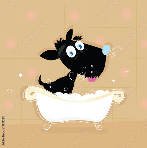 Black dog bath. Bathing black small doggie. VECTOR ILLUSTRATION.