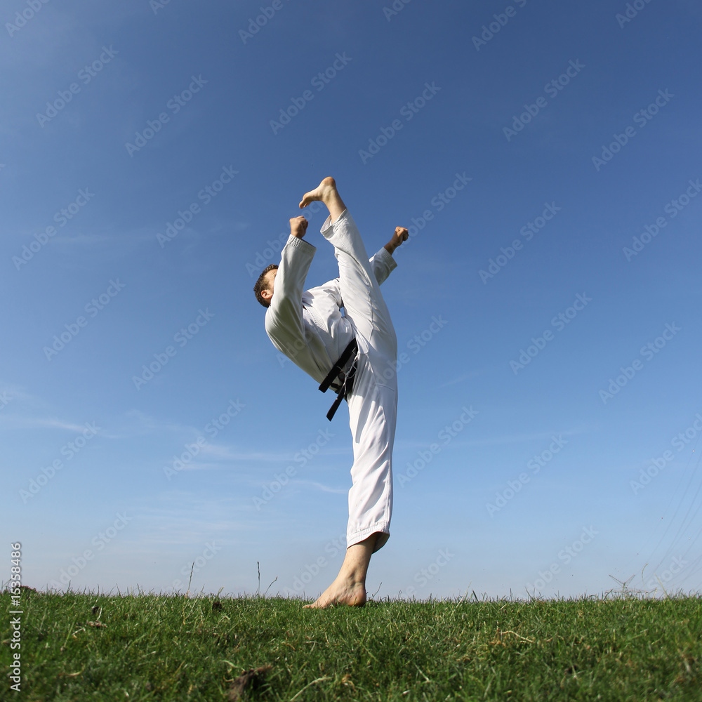 Taekwon-do Kick