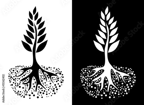 ÁRBOL VIDA
