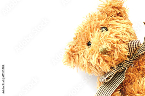 Photos scruffy bear