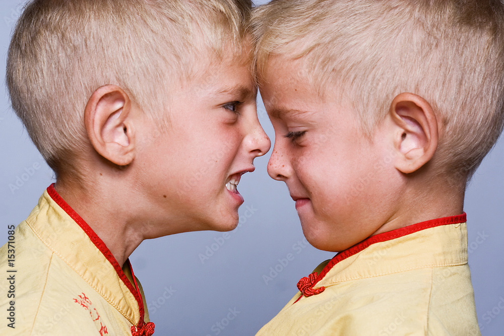 Naklejka premium Opposite twins
