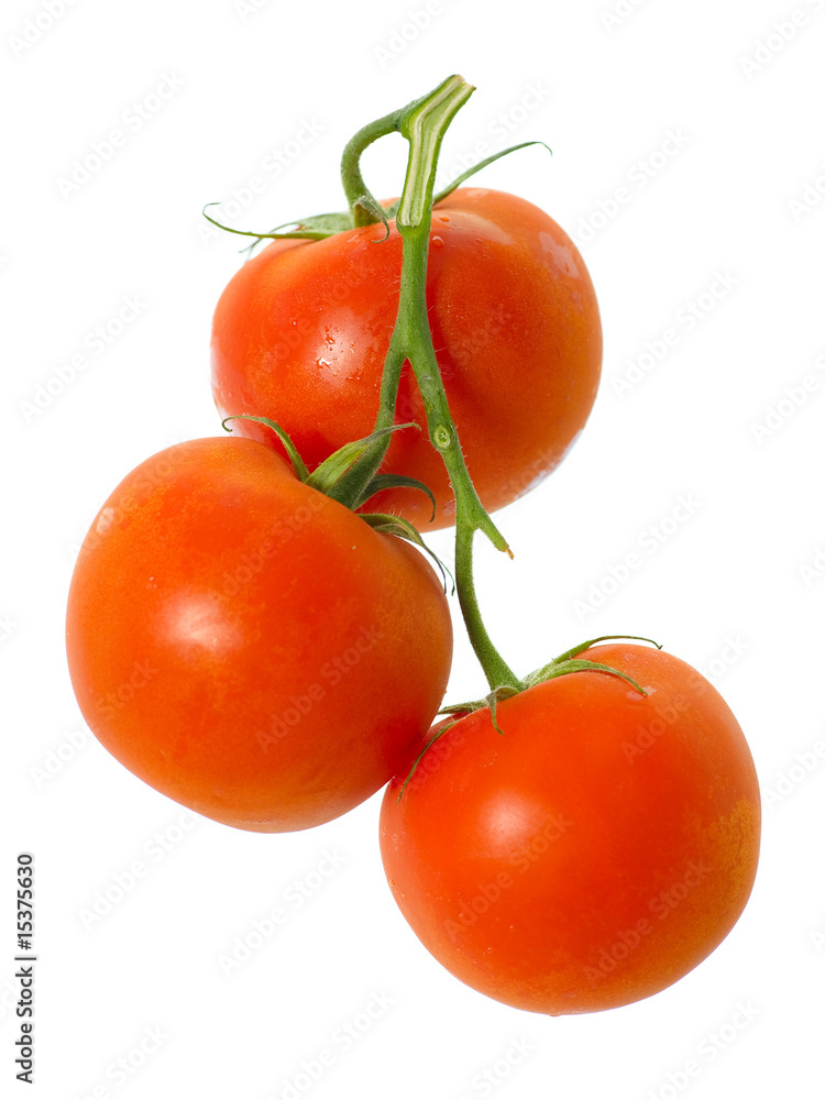 cherry tomatoes cherry tomatoes