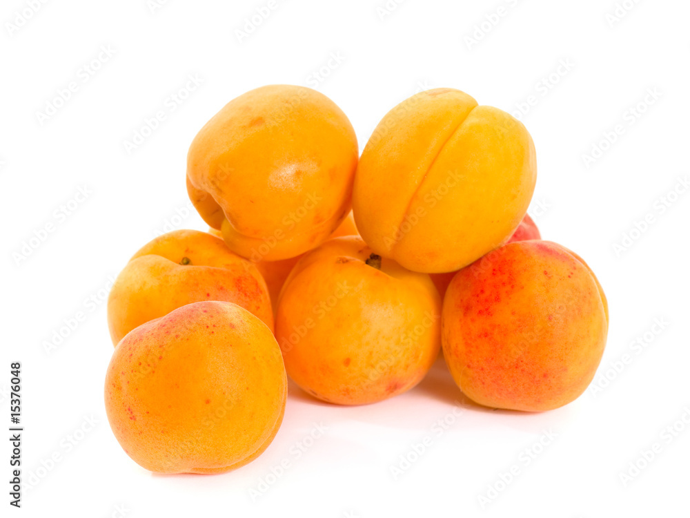 apricot apricot
