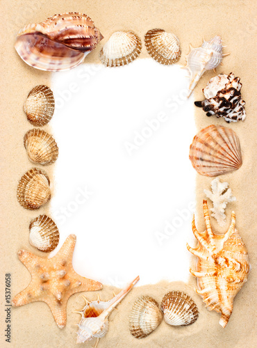 Shells on sand frame © Dmitry Naumov