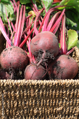 Beetrot In a Basket photo