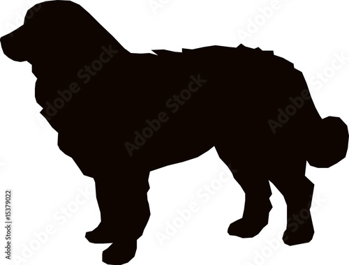 Bernese mountain dog silhouette