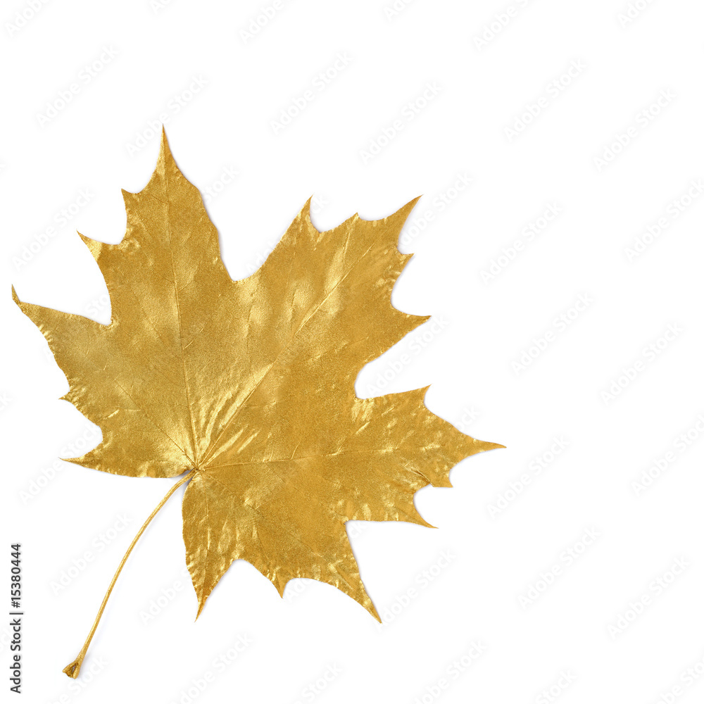 Golden Maple Leaf Golden Maple Leaf