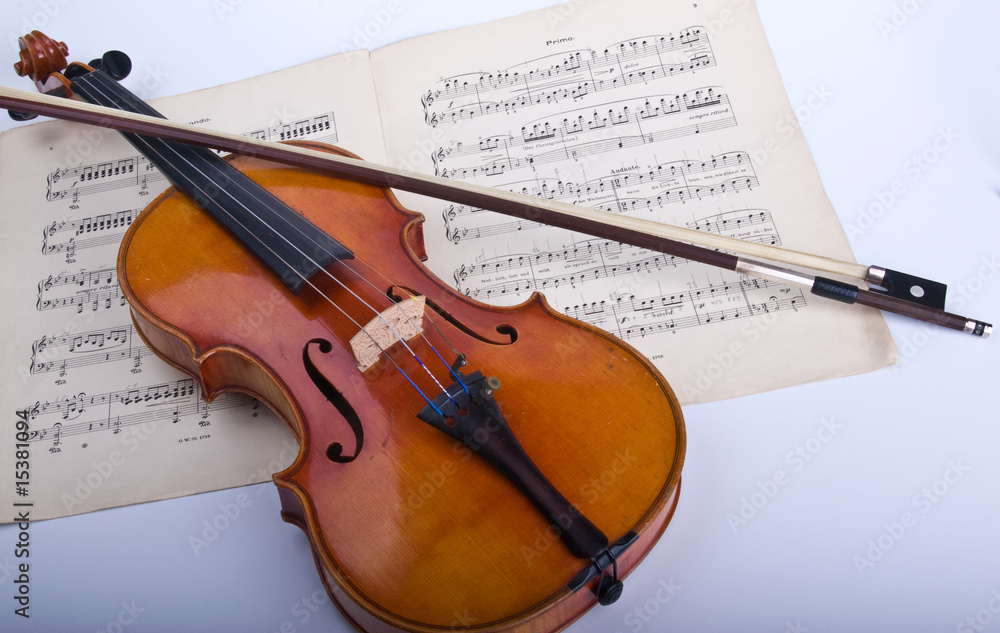 Fototapeta premium Violine