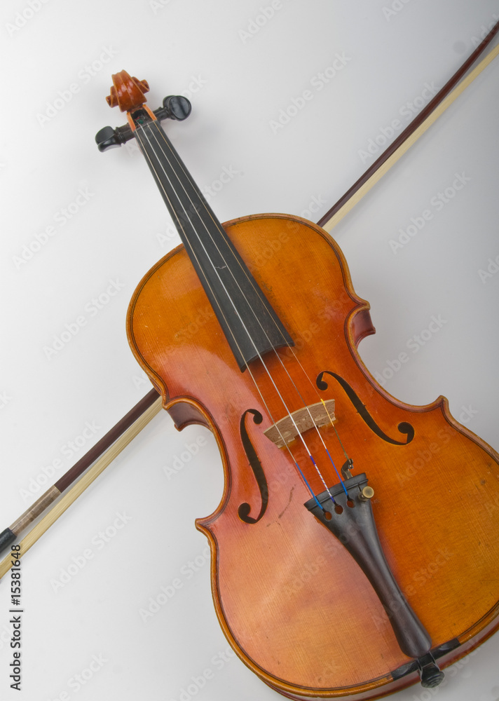Fototapeta premium Violine