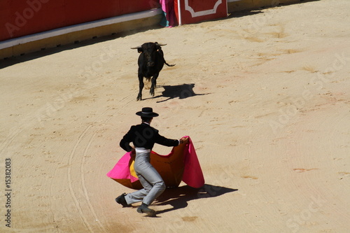 Novillada y espectaculo taurino en San Fermín, Pamplona.