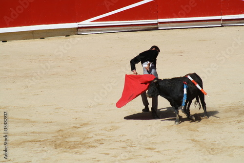 Novillada y espectaculo taurino en San Fermín, Pamplona.