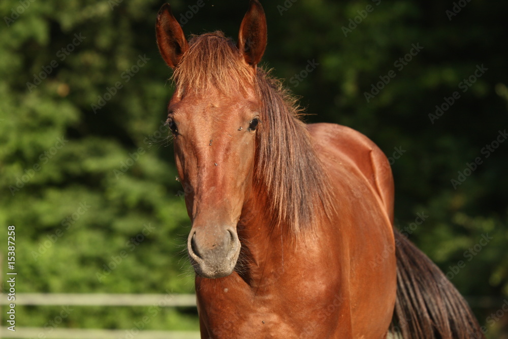 Obraz premium PIERWSZE PIĘTRO