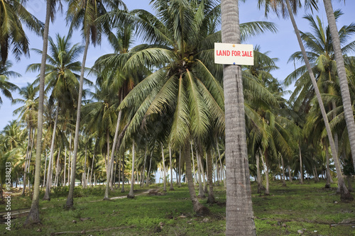 Land for sale. © Stephane BENITO