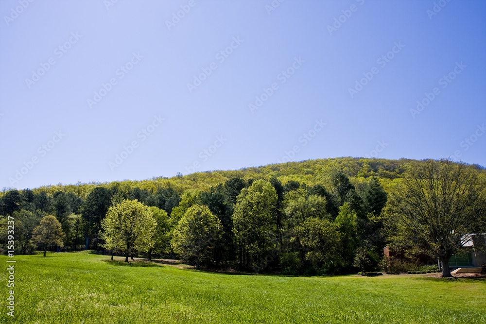 Fototapeta premium Rolling Green Hills