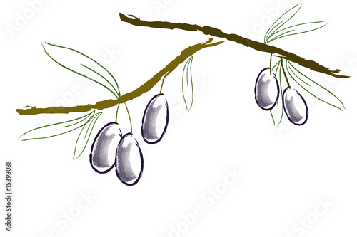 Olive su ramo