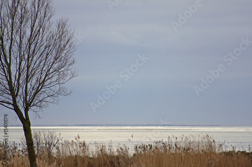 Wallpaper Mural Blick aufs Ijsselmeer mit baum Torontodigital.ca