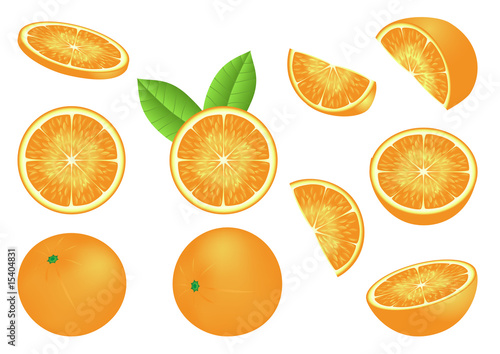Vector image with isolated oranges