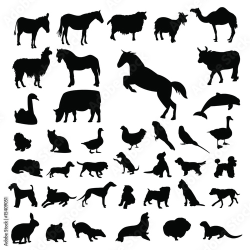 Lots of Domestic Animals Silhouettes