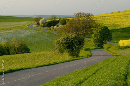 Route de campagne 3775 photo