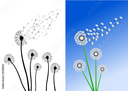 Pusteblume und Löwenzahn