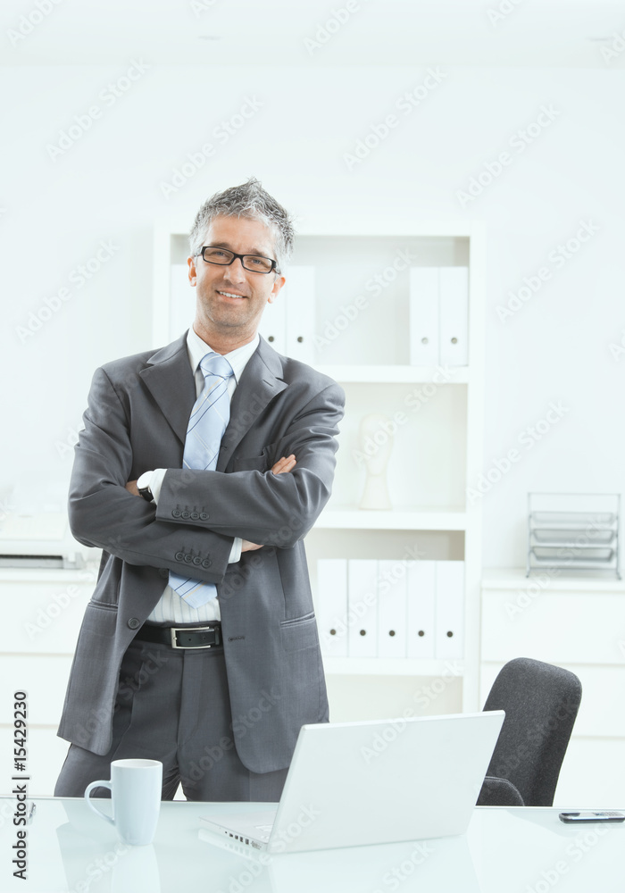 Fototapeta premium Happy businessman at office